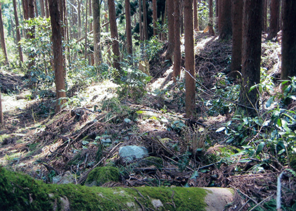 歴史的建造物・遺跡