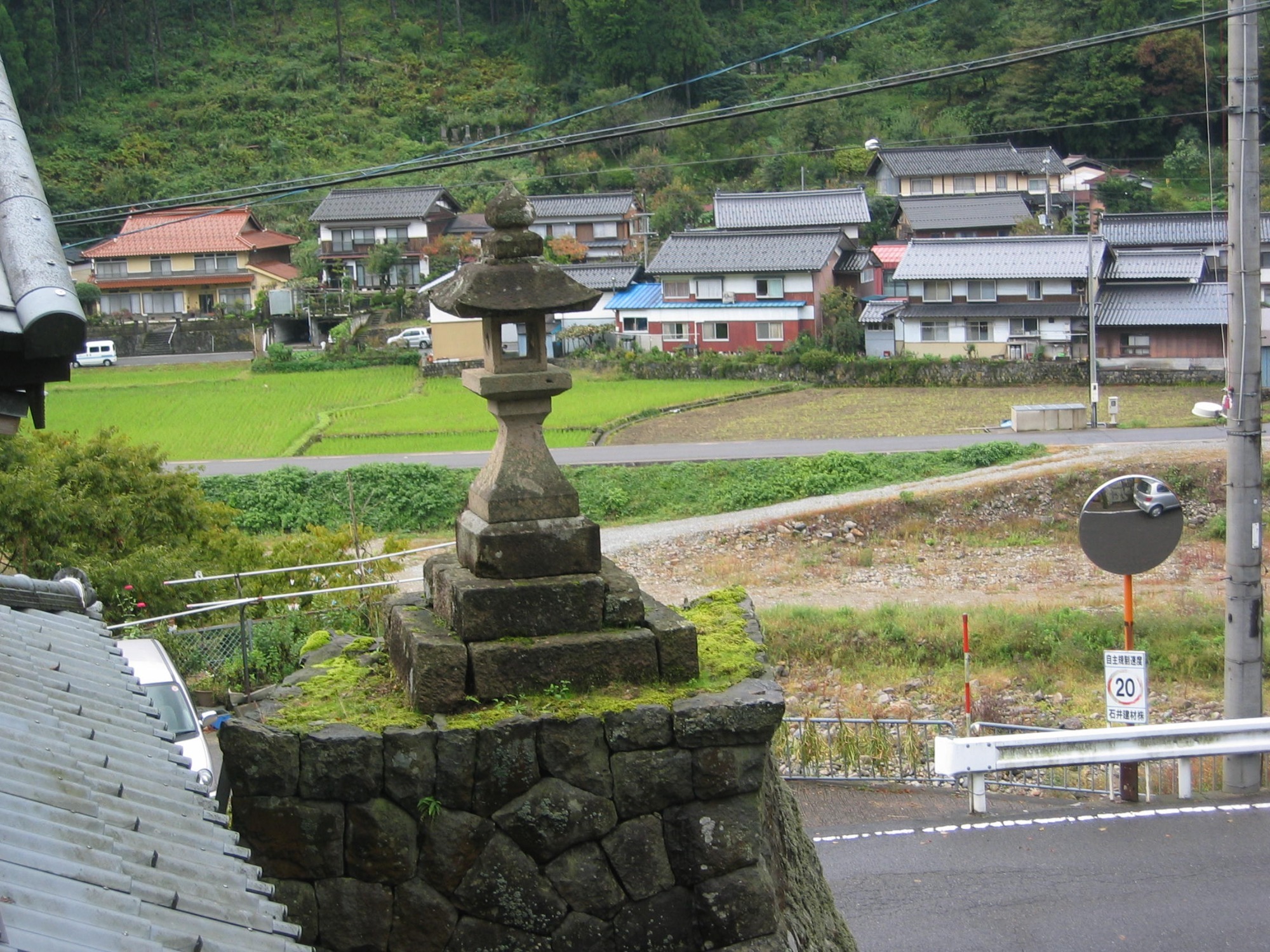 食を通じての健康を